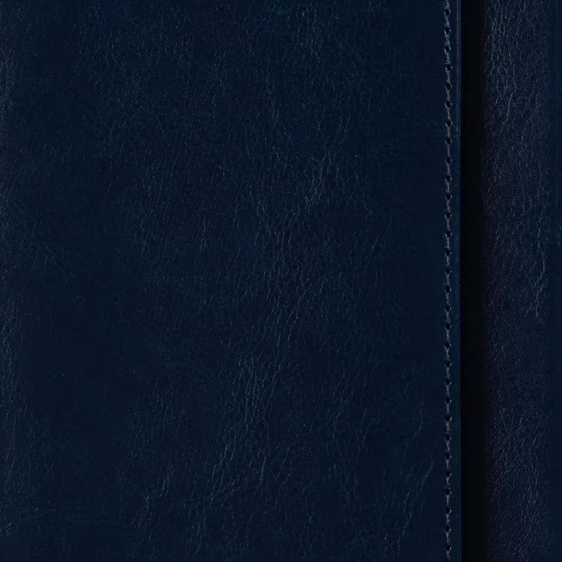 Планинг недатированный Sidney синий 305х130, 64 л. Ал 3-318/04