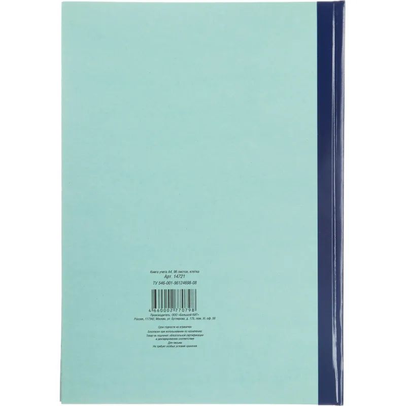 Книга учета амбарная в клетку 96л.обл.плотн.картон г/б