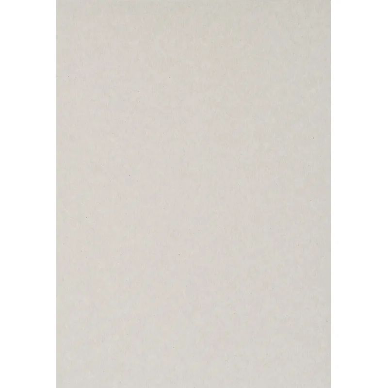 Картон белый  8л,А4 мелованный Отличник