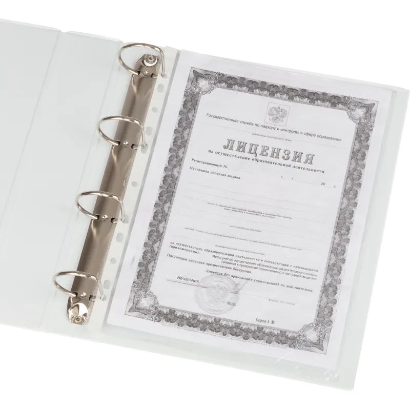 Папка Панорама на 4-х кольцах 65мм Россия