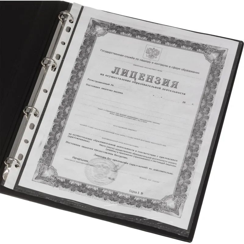 Папка на 4-х кольцах 25мм  черная Россия