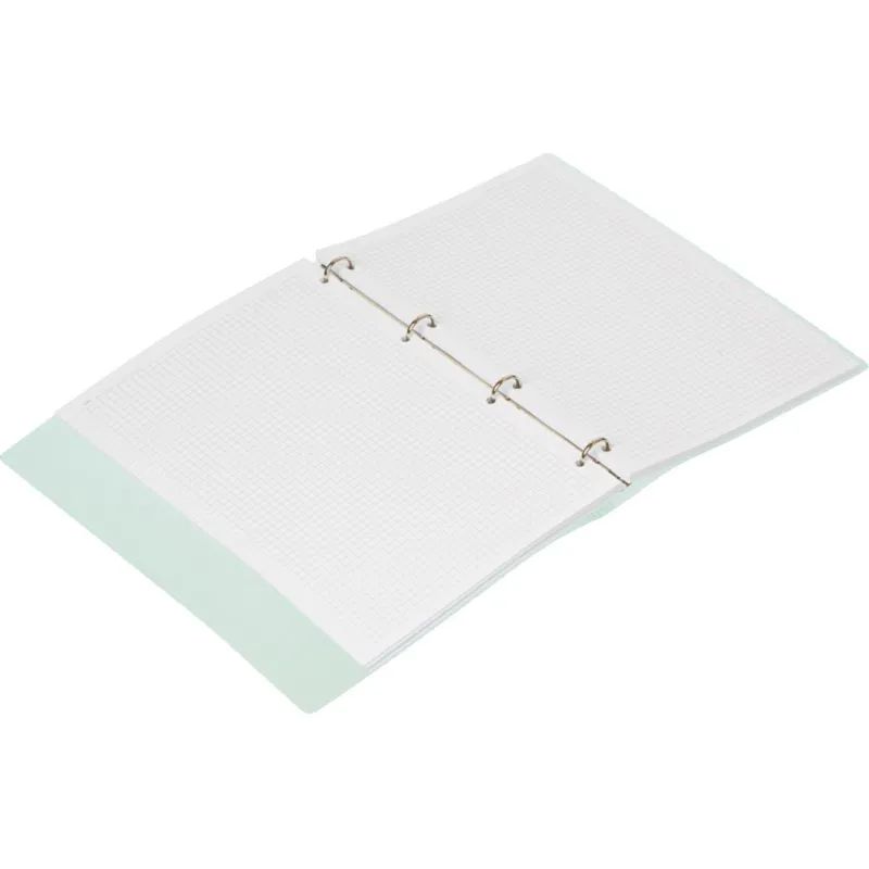 Бизнес-тетрадь Attache Rainbow Style А4 на кольцах, смен.блок, зеленый