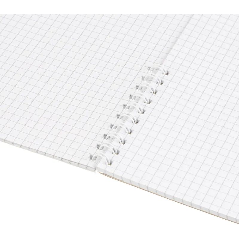 Тетрадь общая 48л,клет,А4,спир,обл.карт,Графо