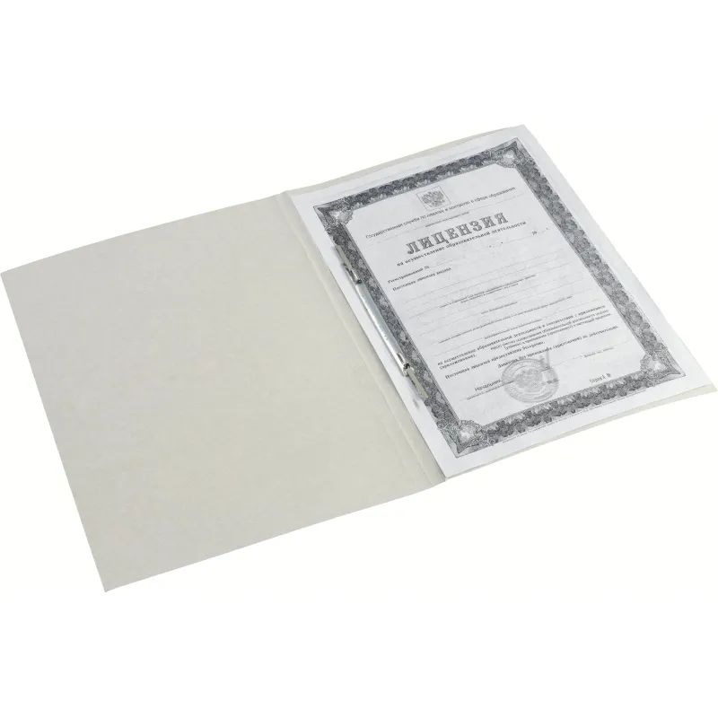 Скоросшиватель картон ДЕЛО 380г/м2 мел20шт/уп 1496205,1496156,1496176