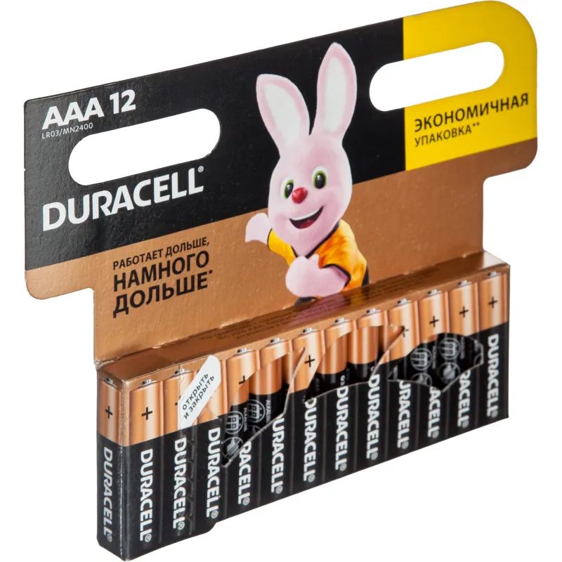 Батарейка DURACELL BASIC ААA/LR03-12BL