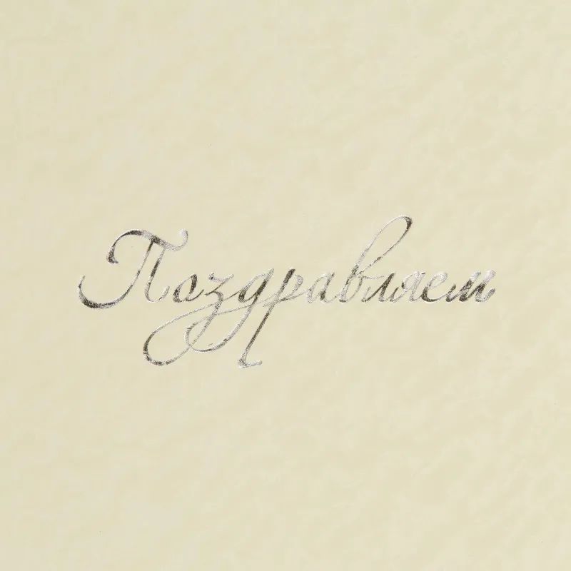 Папка адресная ПОЗДРАВЛЯЕМ белая