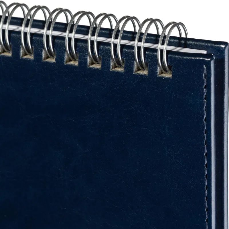 Планинг недатированный Sidney синий 305х130, 64 л. Ал 3-318/04