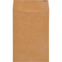 Пакет крафт B4 стрип Largepack250х353х40 120г 200шт/уп/6306