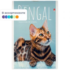 Блокнот КОТЯТА А6 40л на скрепке в ассорт 3-40-110 Д