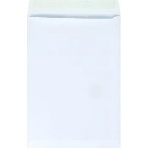 Пакет Белый B4стрип Businesspack250х353 120г 200шт/уп/5021