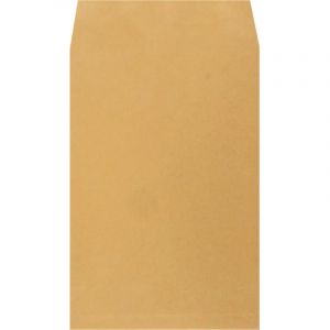 Пакет в упаковке крафт С4 стрип Extrapack 229х324 100г 250шт/уп/6541