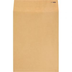 Пакет крафт E4 стрип Largepack300х400х40 120г 200шт/уп/6326