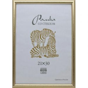 Рамка пластиковая А 4 золотого цвета 509